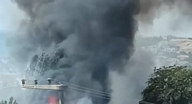 Silivri'de ot yangını: Bekçi kulübesi kül oldu