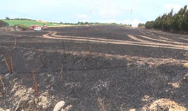 Silivri'de sigara izmariti 30 dönüm buğdayı küle çevirdi