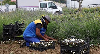 Silivri'de yaz aylarına hazırlıklar devam ediyor