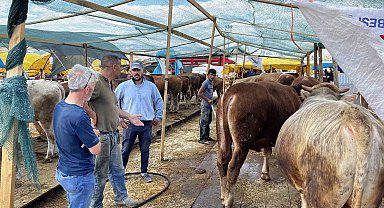 Sincan'da Kurban Bayramı hazırlıkları tamam