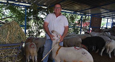 Sındırgı kurban pazarında arefe yoğunluğu yaşandı