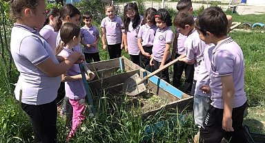 Sinop'ta çevreci eğitim modeli