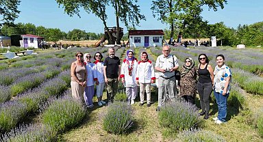 Sinop'ta lavanta kokulu gastronomi buluşması: Yöresel lezzetlere mor dokunuş