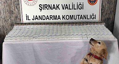 Şırnak'ta 281 bin 500 TL değerinde kaçak malzeme ele geçirildi