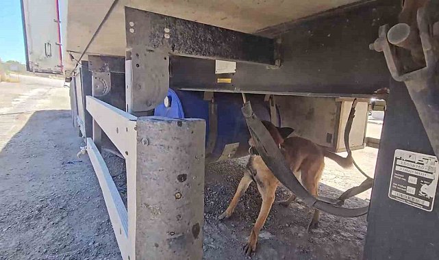 Şırnak'ta aracında 30 kilo uyuşturucuyla yakalanan şahıs tutuklandı
