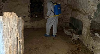 Şırnak'ta şap hastalığı tespit edildi bir köy karantinaya alındı