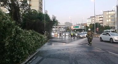 Şişli'de ağaçlık alanda çıkan yangın korkuttu