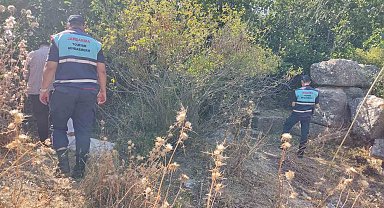 Sit alanında ilek toplarken yakalandılar