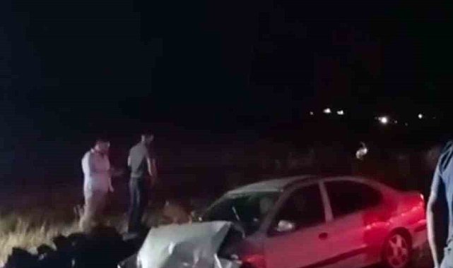 Siverek'te kontrolden çıkan otomobil şarampole girdi: 2 yaralı
