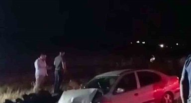 Siverek'te kontrolden çıkan otomobil şarampole girdi: 2 yaralı