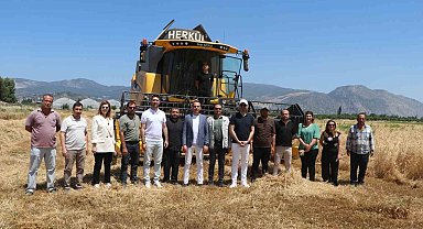 Söke Belediyesi'nde yeni sezonun buğday hasadı
