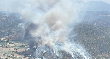 Söke'de yangın, söndürme çalışmaları sürüyor