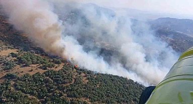 Söke'deki yangın kontrol altına alındı