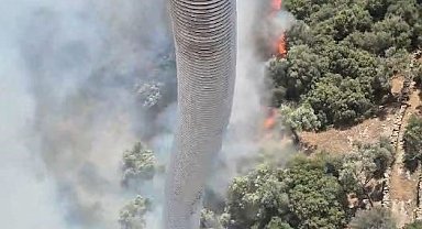 Söke'deki yangına havadan müdahale yapılıyor