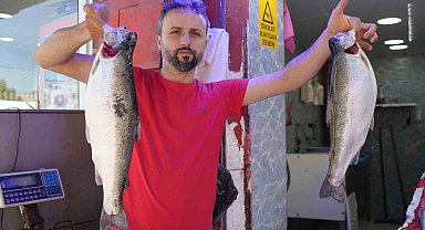 Somon en çok tercih edilen balık