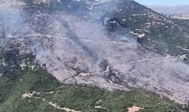 Sultanhisar yangınına müdahale sürüyor