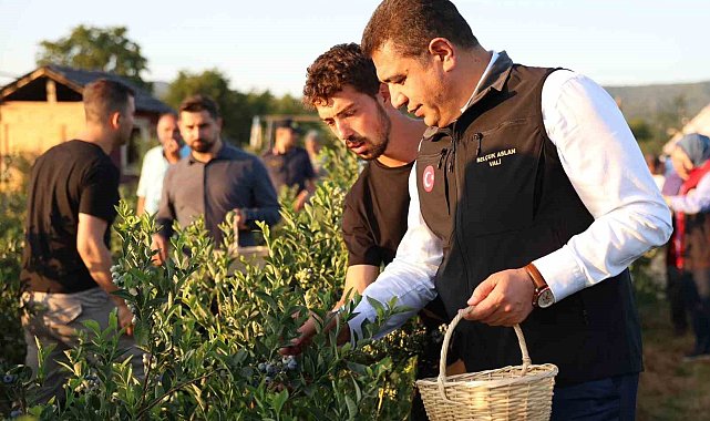 Süper meyvenin hasadını vali elleriyle yaptı