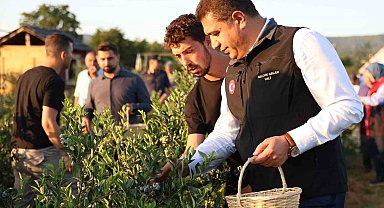 Süper meyvenin hasadını vali elleriyle yaptı