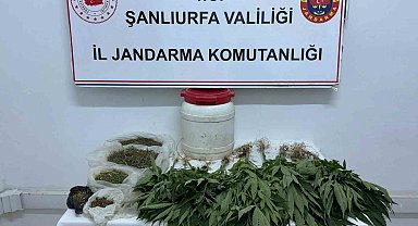 Suruç'ta uyuşturucu ele geçirildi