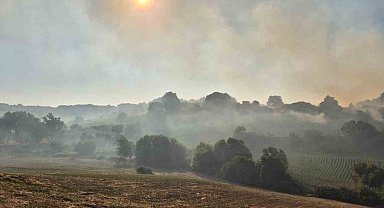 Susurluk Babaköy'de arazi yangını kontrol altına alındı