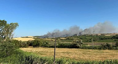 Susurluk'ta arazi yangını: Söndürme çalışmaları sürüyor