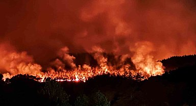 Taraklı'daki orman yangınına ilişkin gözaltına alınanlar serbest bırakıldı