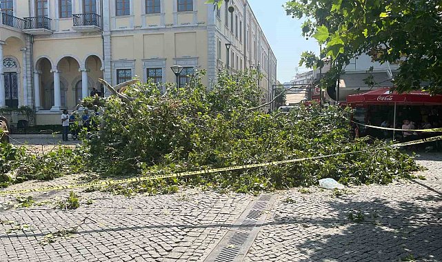 Tarihi Kemeraltı Çarşısı girişindeki dev çınar devrildi
