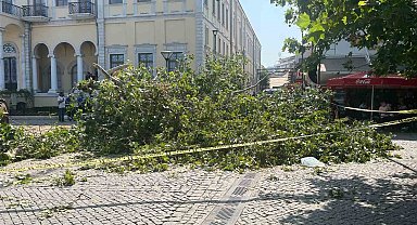 Tarihi Kemeraltı Çarşısı girişindeki dev çınar devrildi