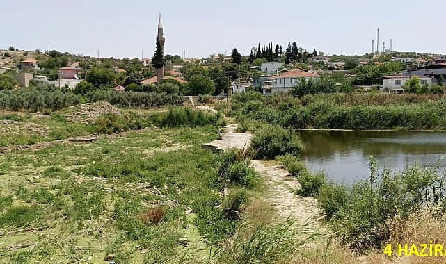 Tarihi köprüde sular yeşillendi, doğaseverler sorunlara dikkat çekti