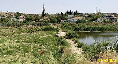 Tarihi köprüde sular yeşillendi, doğaseverler sorunlara dikkat çekti