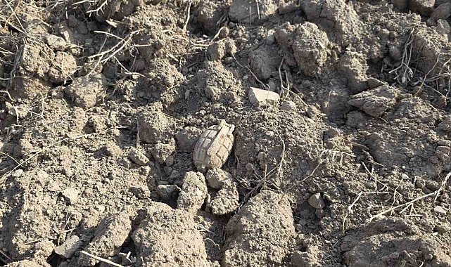 Tarlada Sakarya Meydan Muharebesinden kalma patlamamış el bombası buldu