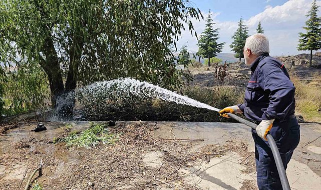 Tatvan'da çıkan yangında 50 dönümlük alan küle döndü