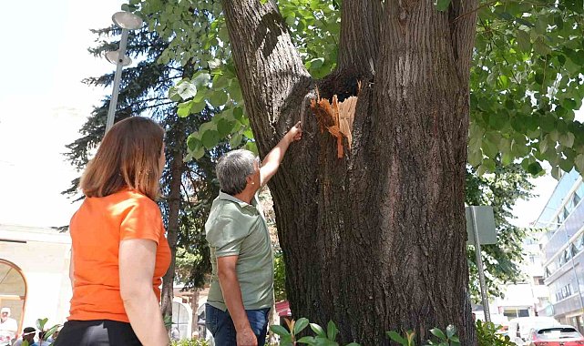 Tehlike ortadan kaldırıldı