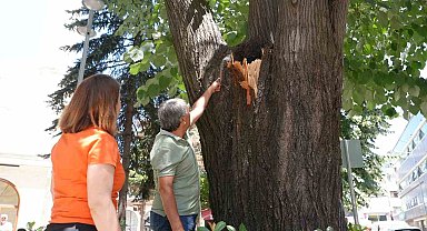 Tehlike ortadan kaldırıldı