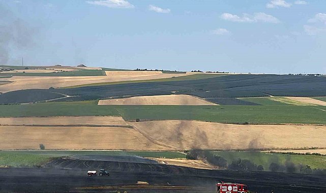 Tekirdağ'da 150 dönümde ekili buğday küle döndü