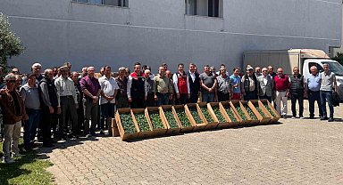 Tekirdağ'da 314 üreticiye 283 bin sebze fidesi dağıtıldı