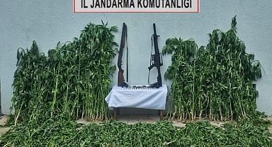 Tekirdağ'da jandarmadan uyuşturucu ve silah operasyonu