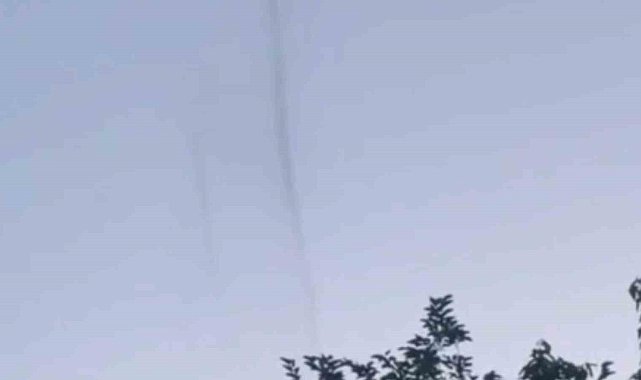 Tekirdağ'da kokutan görüntü: 'Sinek hortumları' görüntülendi