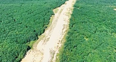 Tekirdağ'da orman nöbeti: Jandarma kaçak kesimlere geçit vermiyor