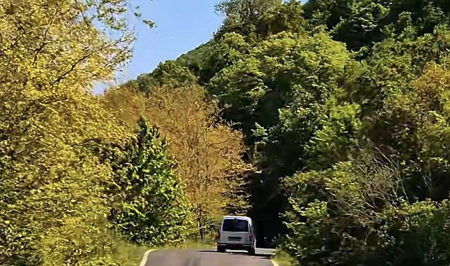 Tekirdağ'da ormanlara girişler yasaklandı