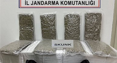 Tekirdağ'da otoyol gişelerinde 12 kilogram skunk ele geçirildi