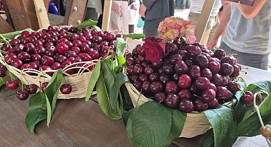 Tekirdağ'da "Kiraz Festivali" coşkuyla başladı