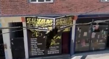 Tele takılan kuşu itfaiye kurtardı