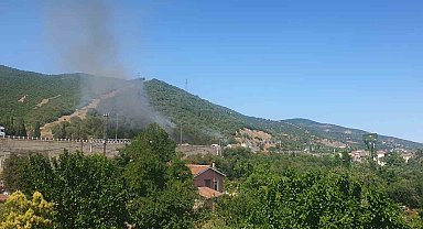 TEM Otoyolu kenarında başlayan yangın ormana sıçradı: 2 saatte söndürüldü