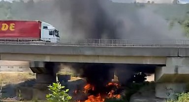 TEM'de korkutan yangın