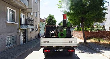 Tepebaşı haşerelere karşı sahada