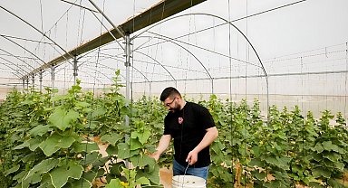 TİKA, Filistin'de üretim tesisleri kuruyor