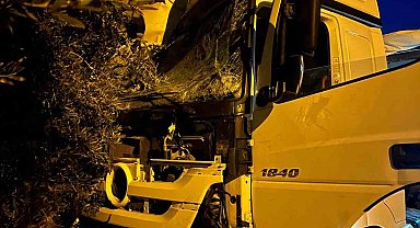 Tır sürücüsü uyudu, ortalık savaş alanına döndü: Önce üste geçide ardından da ağaç ile 2 araca çarptı
