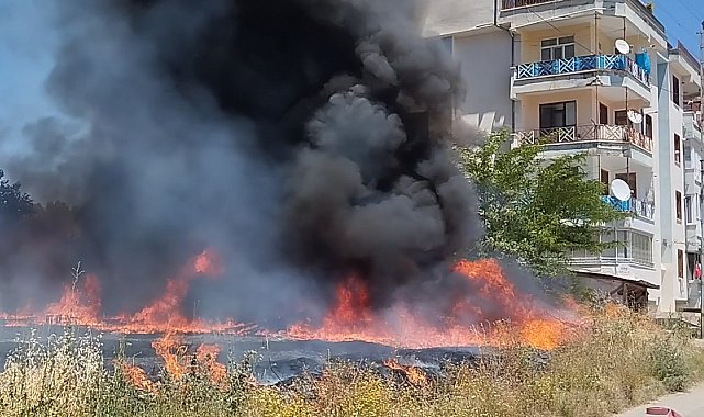 Tokat'ta arazide çıkan yangın evlere sıçramadan söndürüldü