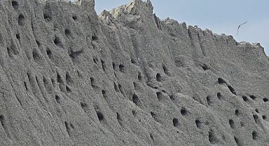 Tokat'ta kuşların kumda kurduğu site doğaseverleri mest ediyor